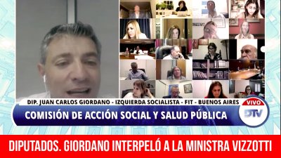 Diputados. Giordano interpeló a la ministra Vizzotti