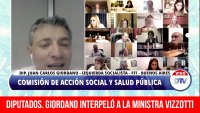 Diputados. Giordano interpeló a la ministra Vizzotti