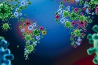 El virus que desnudó al mundo