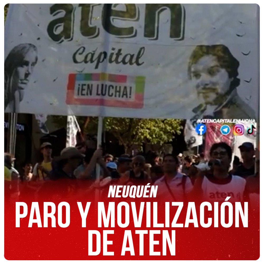 Neuquén: Paro y Movilización de Aten