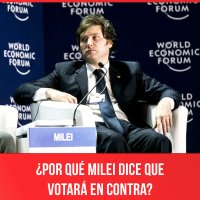 ¿Por qué Milei dice que votará en contra?