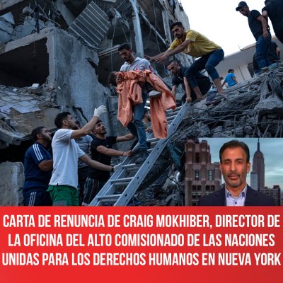Carta de renuncia de Craig Mokhiber, director de la Oficina del Alto Comisionado de las Naciones Unidas para los Derechos Humanos en Nueva York
