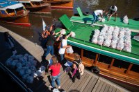 Cuarentena docente: Una pelea contra los gobiernos y la burocracia