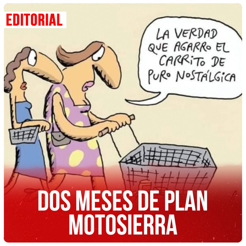 Dos meses de plan motosierra