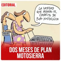 Dos meses de plan motosierra