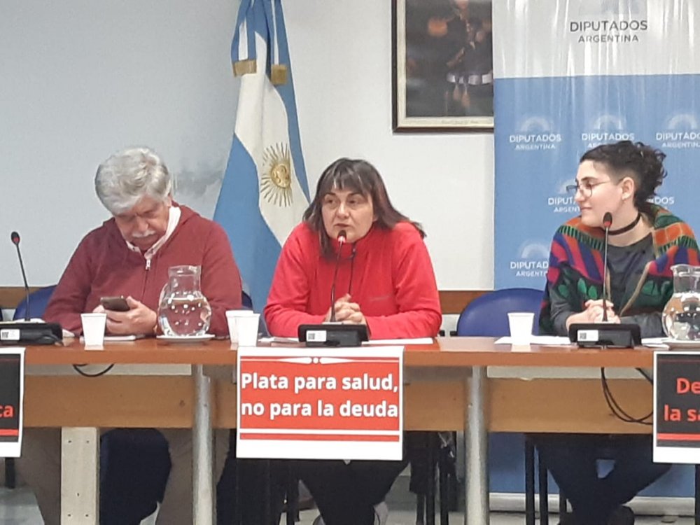 La diputada Schlotthauer presentó el proyecto en defensa de la salud pública