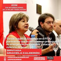 Proyecto de Ley / “Presupuesto de Emergencia en Violencia de Género para la Provincia de Buenos Aires”