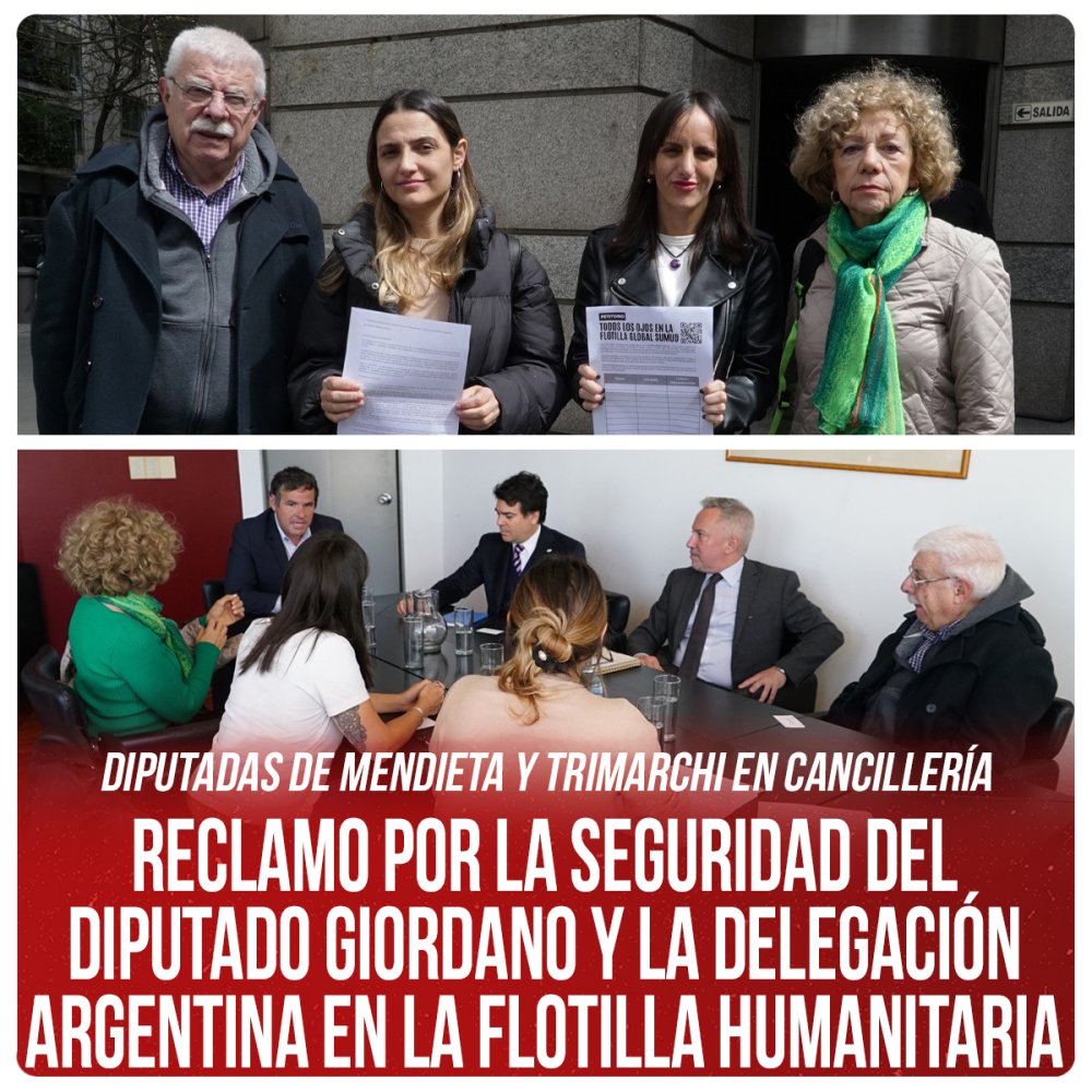 Diputadas De Mendieta y Trimarchi en Cancillería  Reclamo por la seguridad del diputado Giordano y la delegación argentina en la flotilla humanitaria
