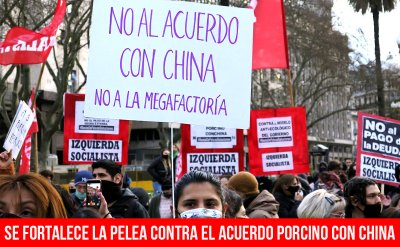 Se fortalece la pelea contra el acuerdo porcino con China