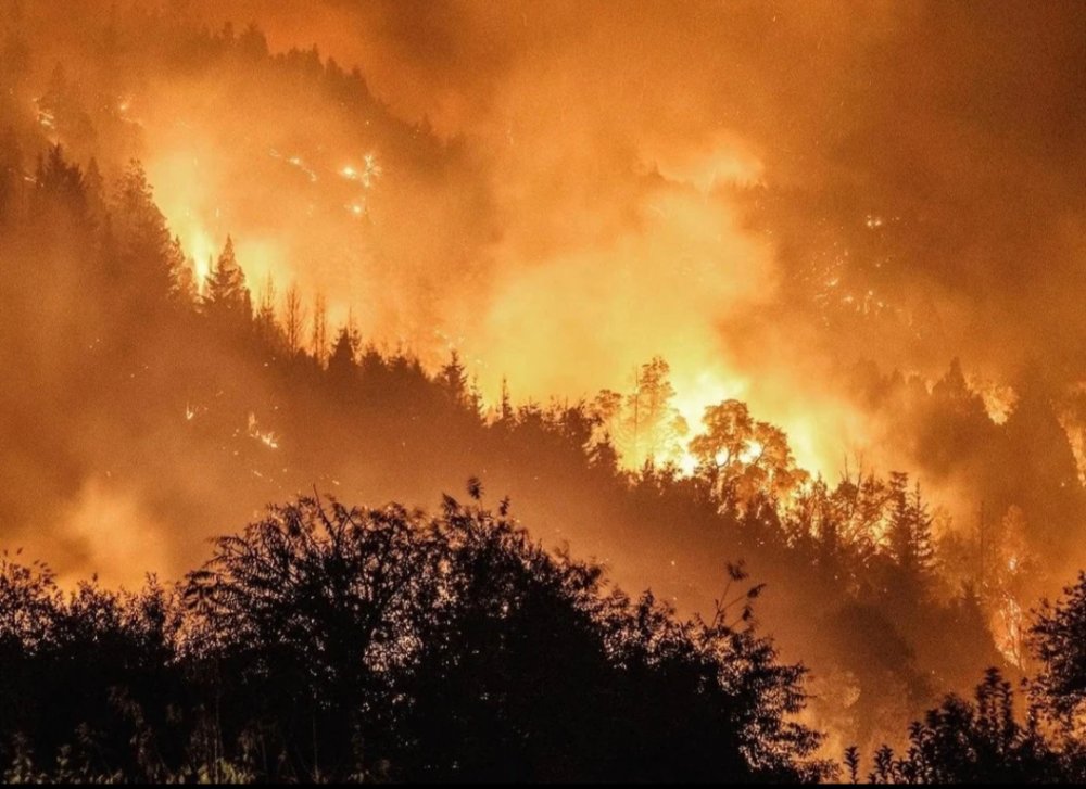 Chubut-Río Negro ¡Que se pongan todos los recursos para apagar el fuego ya!