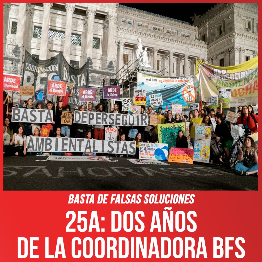 25A: Dos años de la Coordinadora BFS