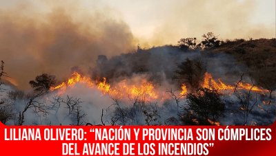 Liliana Olivero: “Nación y provincia son cómplices del avance de los incendios”