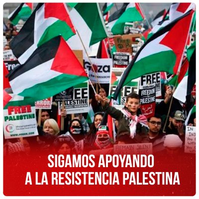Sigamos apoyando a la resistencia palestina