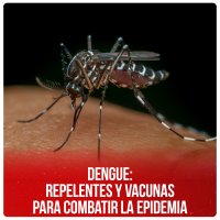 Dengue: repelentes y vacunas para combatir la epidemia