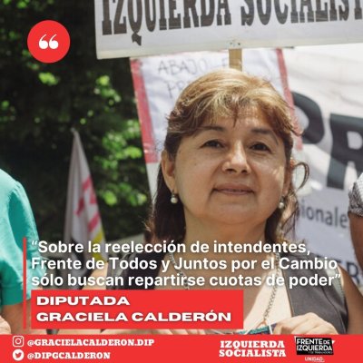 “Sobre la reelección de intendentes, el Frente de Todos y Juntos por el Cambio sólo buscan repartirse cuotas de poder”