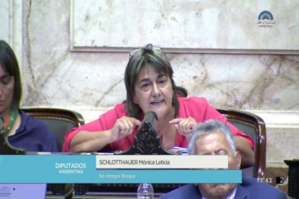 DIPUTADA SCHLOTTHAUER PRESENTO PROYECTO PARA PROHIBIR DESPIDOS Y SUSPENSIONES
