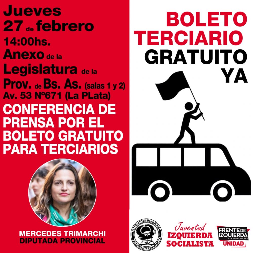 Crece el reclamo por el boleto educativo para terciarios