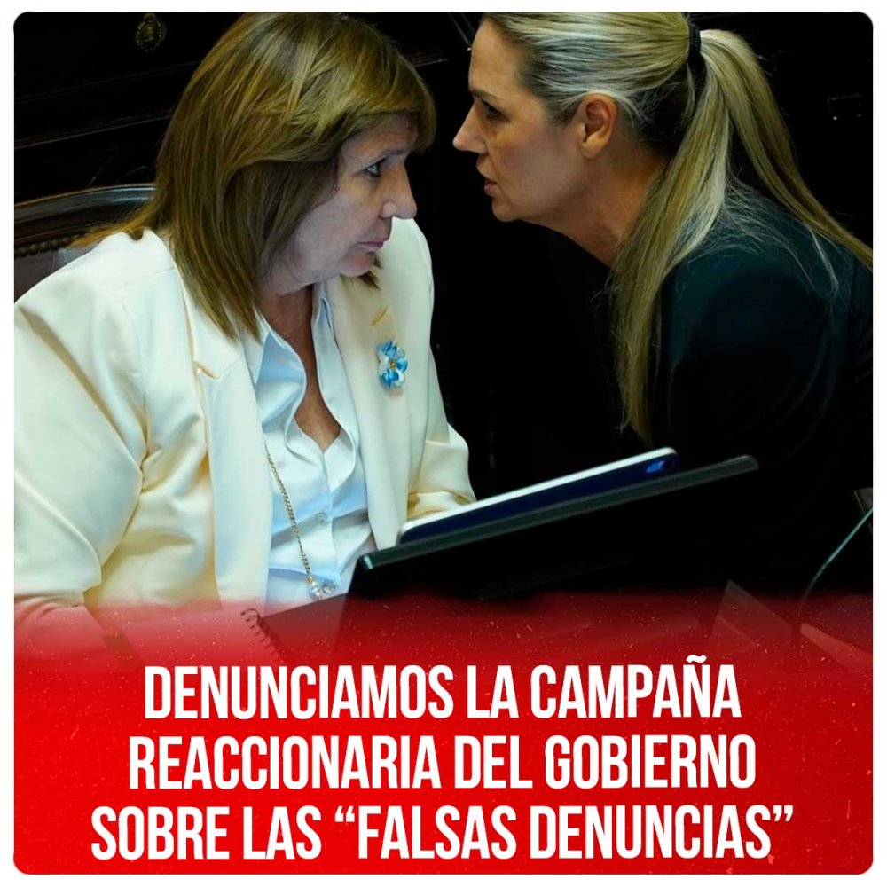 Denunciamos la campaña reaccionaria del gobierno sobre las “falsas denuncias”
