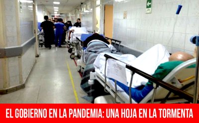 El gobierno en la pandemia: una hoja en la tormenta