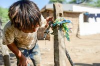 Wichís: los caminos del hambre