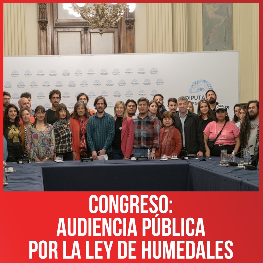 Congreso: Audiencia pública por la Ley de Humedales