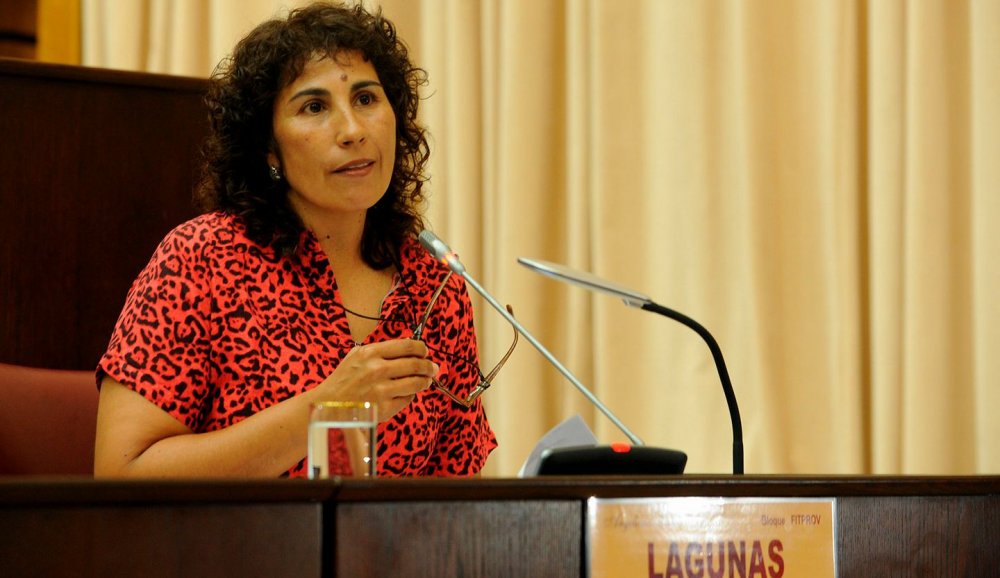 Legislatura de Neuquén: Asumió Angélica Lagunas