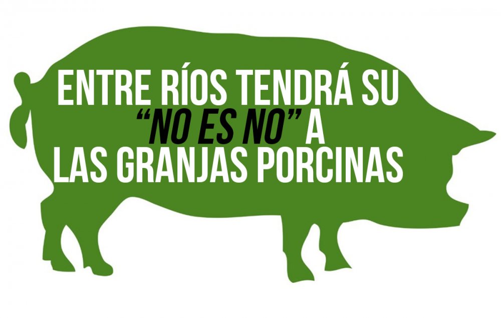 ENTRE RÍOS TENDRÁ SU “NO ES NO” A LAS GRANJAS PORCINAS