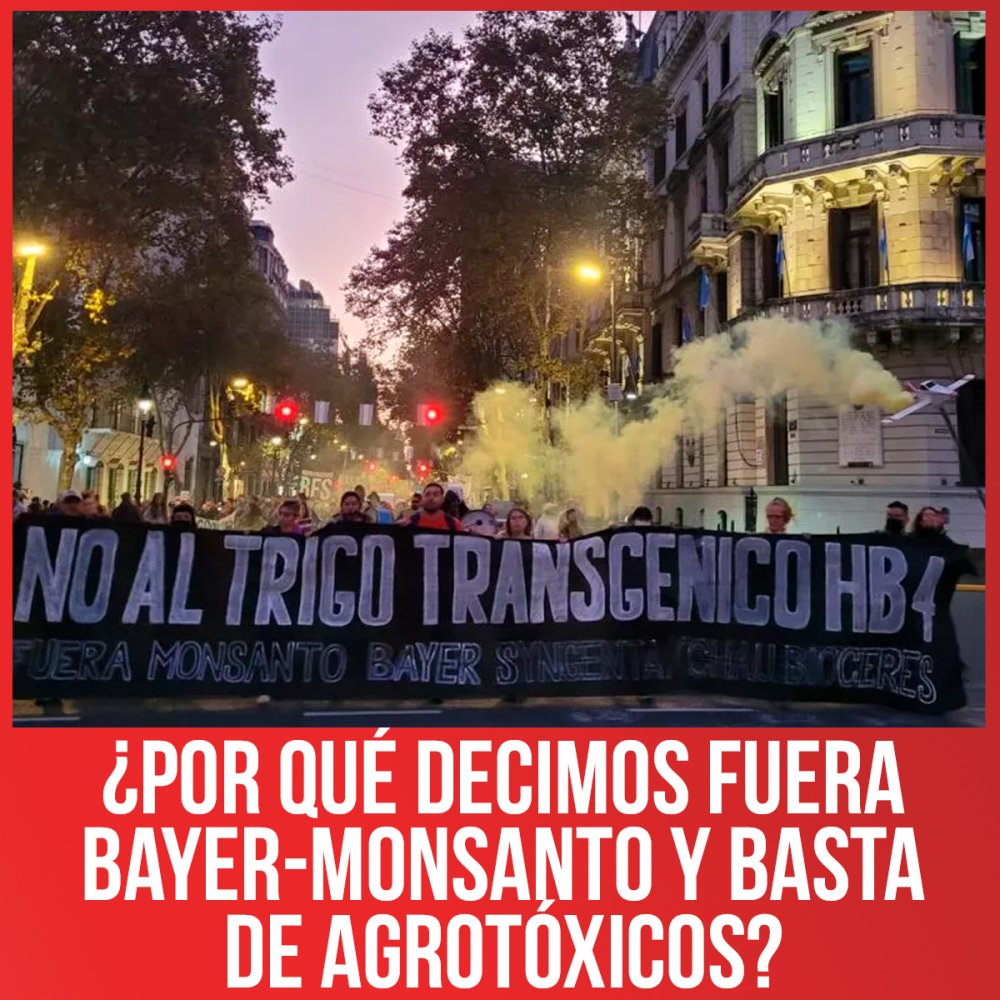 ¿Por qué decimos fuera Bayer-Monsanto y basta de agrotóxicos?