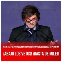 Vetos a Ley de Financiamiento Universitario y de Emergencia en Pediatría / ¡Abajo los vetos! ¡Basta de Milei!