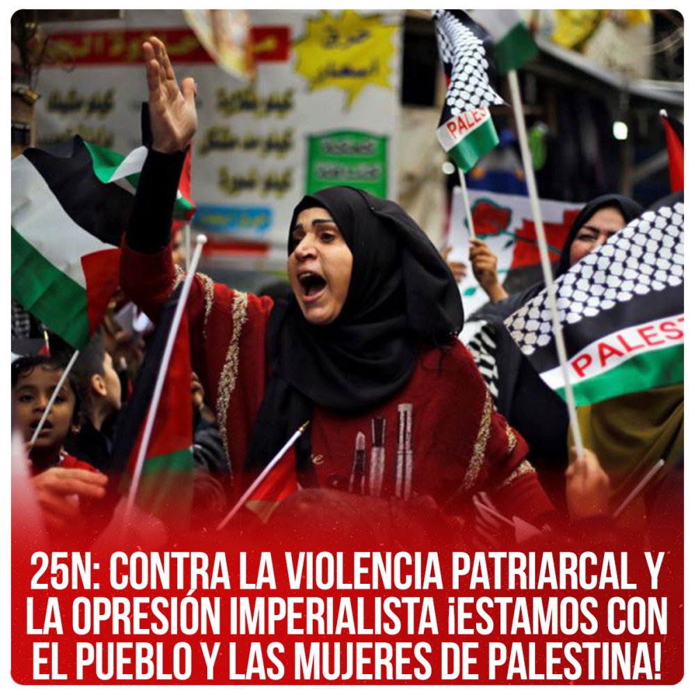 25N: Contra la violencia patriarcal y la opresión imperialista ¡Estamos con el pueblo y las mujeres de Palestina!