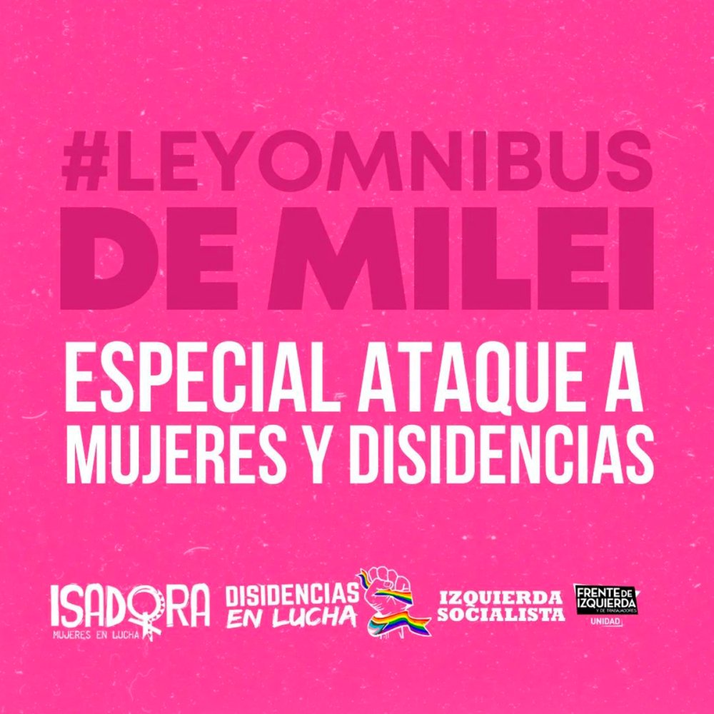 ¿Por qué decimos que la #LeyOmnibus de Milei es un ataque a las mujeres y disidencias?