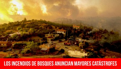 Los incendios de bosques anuncian mayores catástrofes