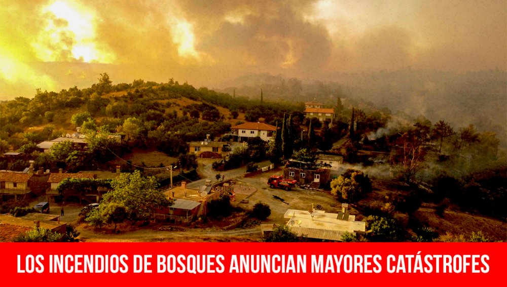 Los incendios de bosques anuncian mayores catástrofes