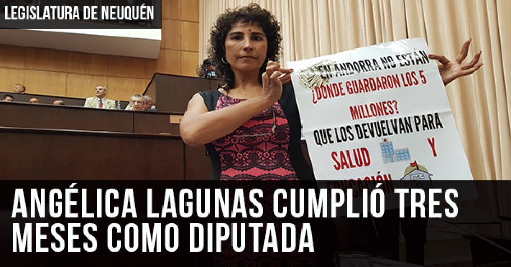 Legislatura de Neuquén: Angélica Lagunas cumplió tres meses como diputada