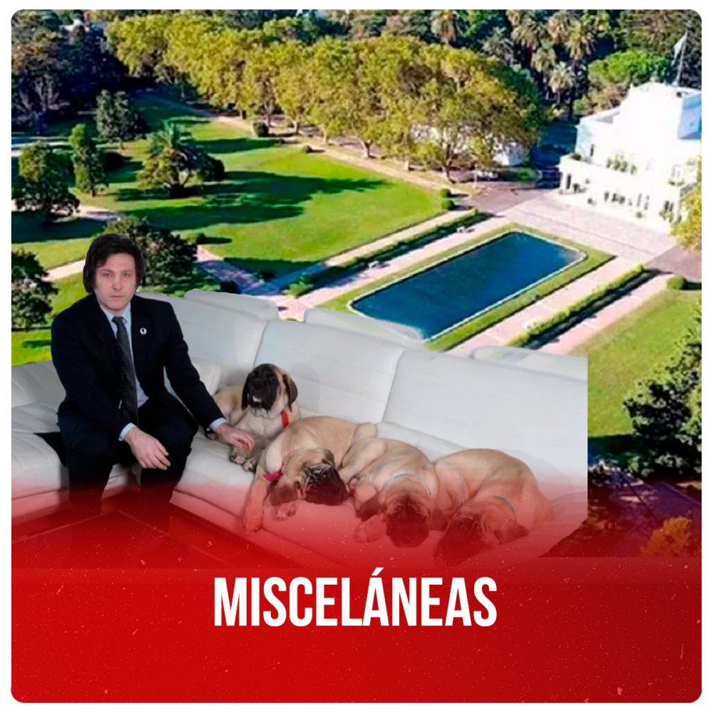 Misceláneas