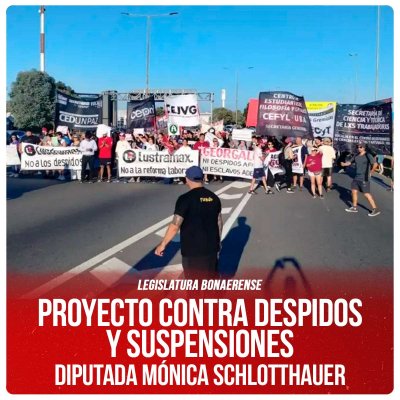 Legislatura bonaerense / Proyecto contra despidos y suspensiones - Diputada Mónica Schlotthauer