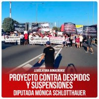 Legislatura bonaerense / Proyecto contra despidos y suspensiones - Diputada Mónica Schlotthauer