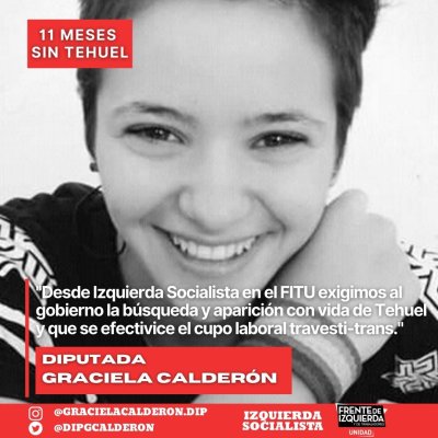 Proyecto de Declaración / Aparición con vida de Tehuel de la Torre