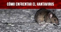 Cómo enfrentar el Hantavirus