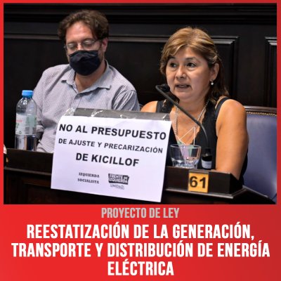 Proyecto de Ley / Reestatización de la generación, transporte y distribución de energía eléctrica