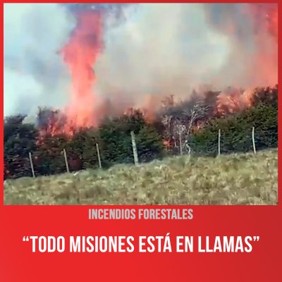 Incendios forestales / “Todo Misiones está en llamas”