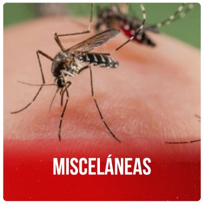 Misceláneas
