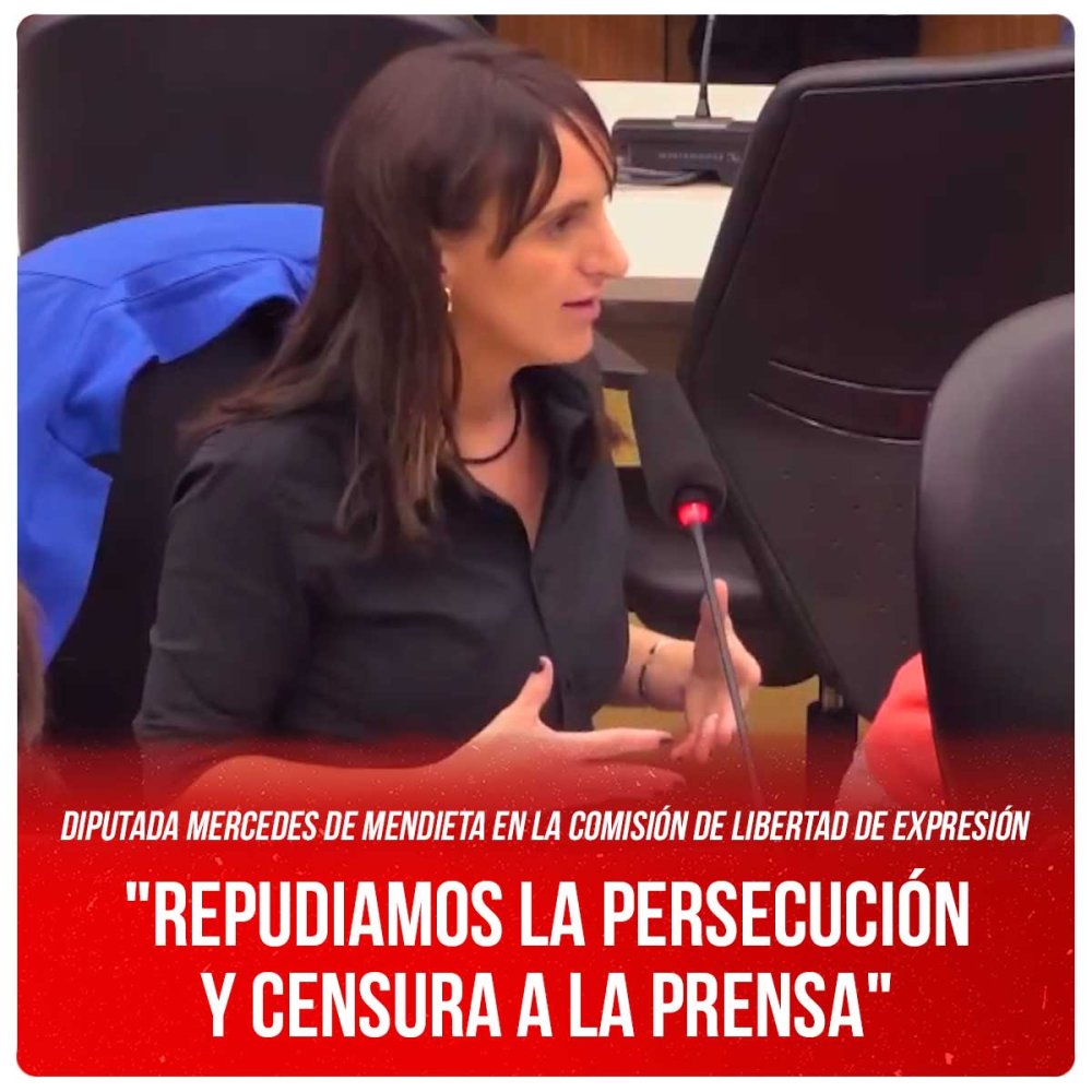 Diputada Mercedes de Mendieta en la Comisión de libertad de expresión / &quot;Repudiamos la persecución y censura a la prensa&quot;