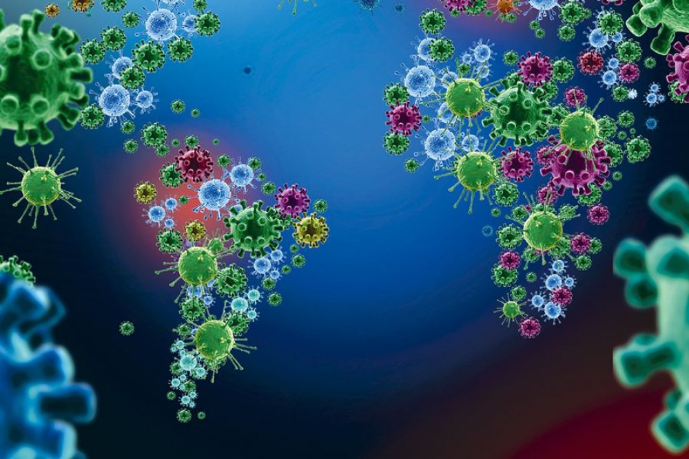 El virus que desnudó al mundo