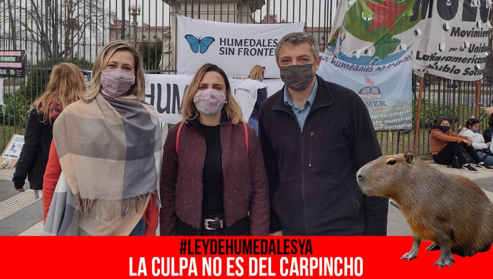#LeyDeHumedalesYa / La culpa no es del carpincho