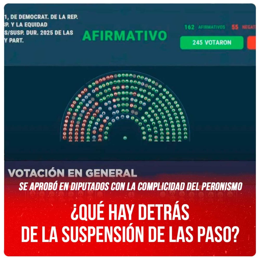 Se aprobó en Diputados con la complicidad del peronismo / ¿Qué hay detrás de la suspensión de las PASO?