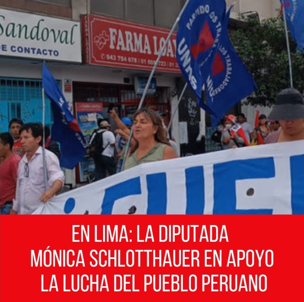 En Lima: la diputada Mónica Schlotthauer en apoyo a la lucha del pueblo peruano