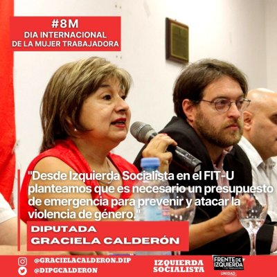 Proyecto de Ley / “Presupuesto de Emergencia en Violencia de Género para la Provincia de Buenos Aires”