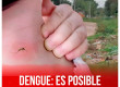 Dengue: es posible derrotar la epidemia