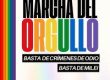 Sábado 1 de noviembre 15:30 hs, 34 Marcha del Orgullo “Al ajuste y odio del gobierno le respondemos con Orgullo”